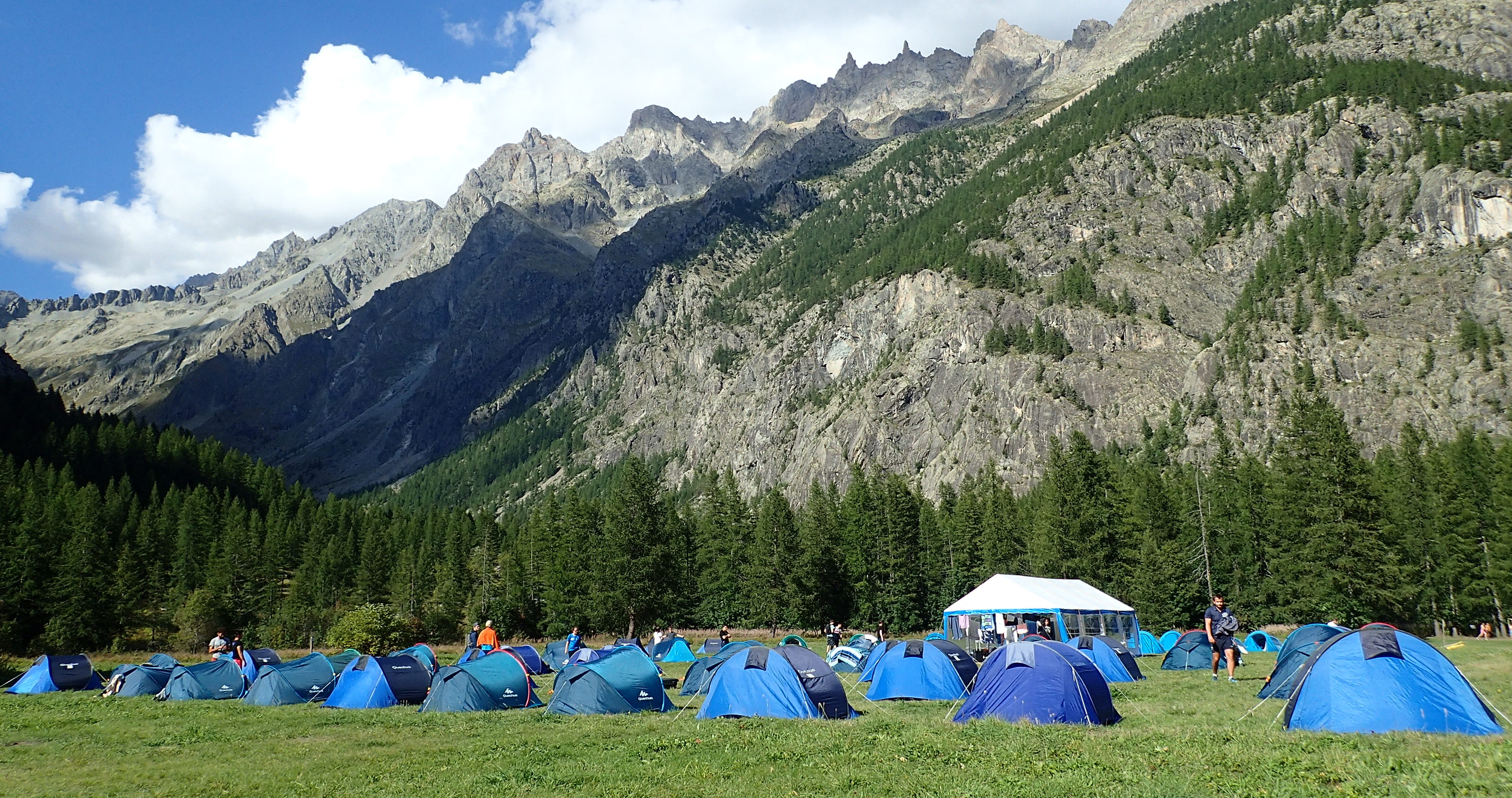 stage immersion dans la nature